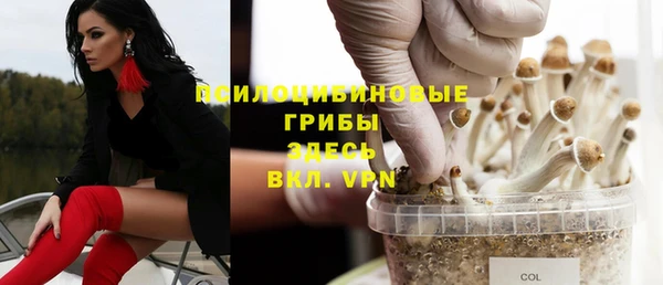 a pvp Арсеньев