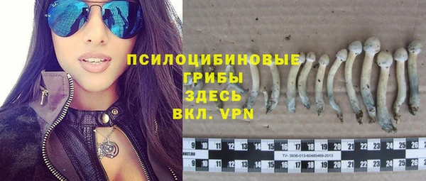 a pvp Арсеньев
