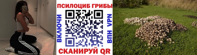 Галлюциногенные грибы мухоморы  Покачи 